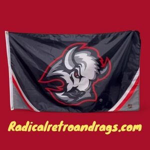 Buffalo Sabres Flag Banner 3x5 New GOAT HEAD